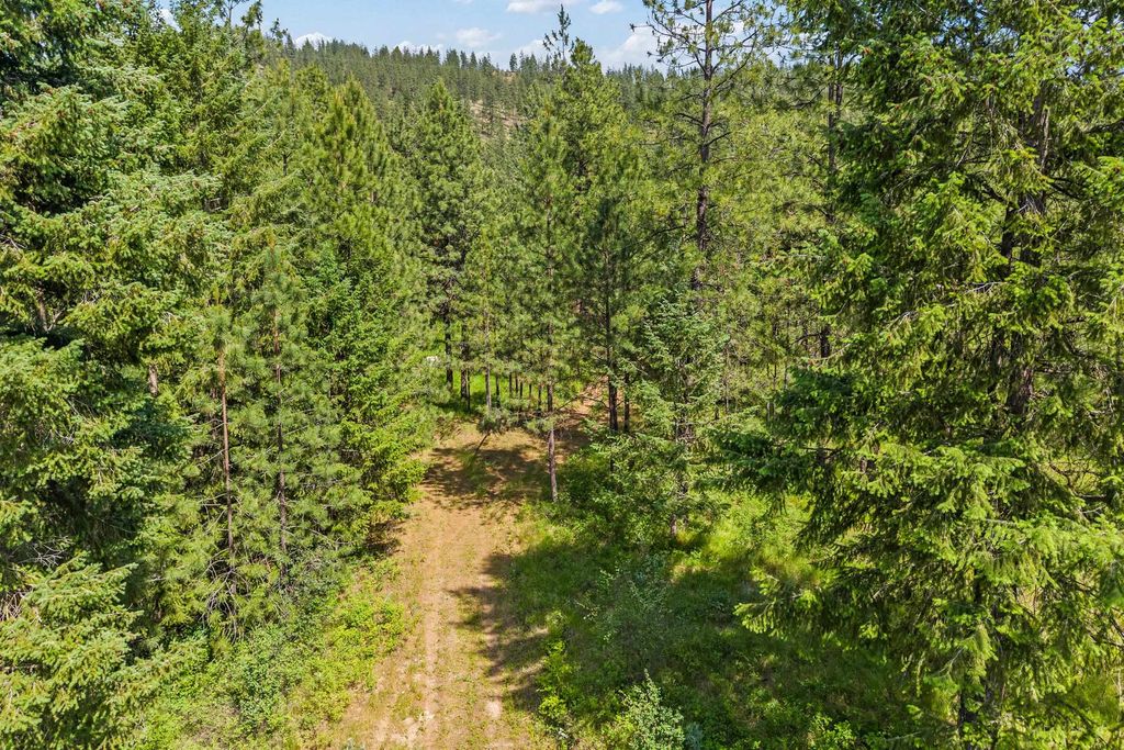 5491 Sailor Rd, Deer Park, WA 99006 photo 7