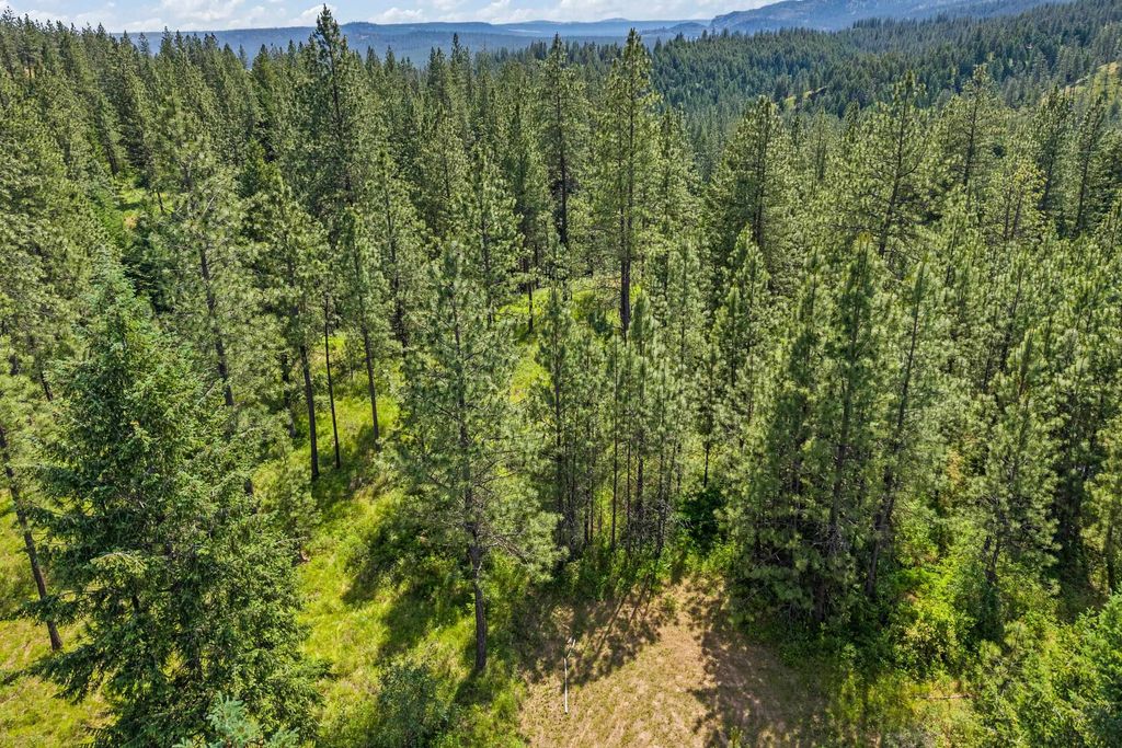 5491 Sailor Rd, Deer Park, WA 99006 photo 8