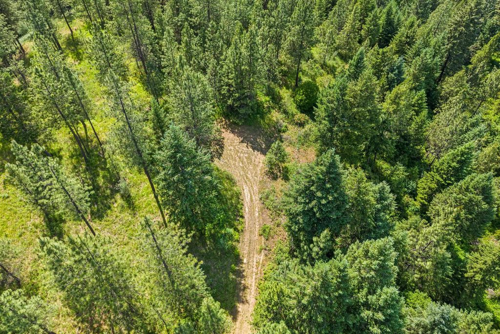 5491 Sailor Rd, Deer Park, WA 99006 photo 9