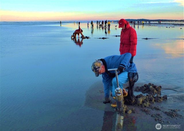 317 Sand Dune Avenue NW, Ocean Shores, WA 98569