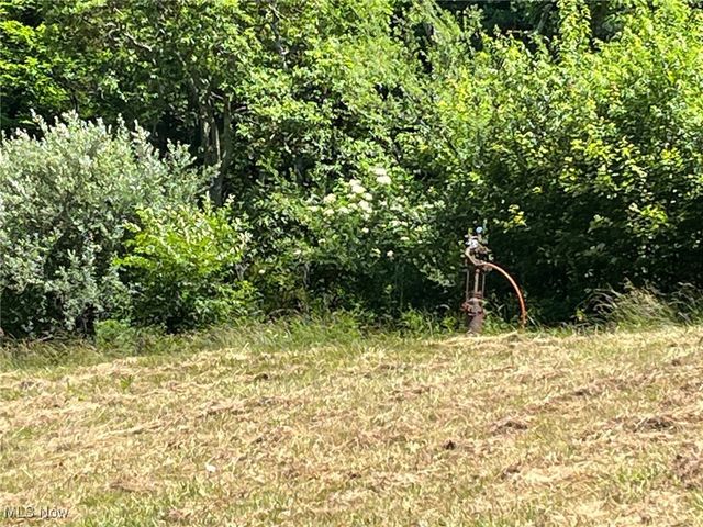 909 Kings Ridge Rd, St Marys, WV 26170