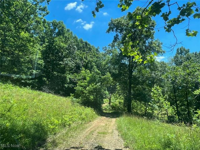 909 Kings Ridge Rd, St Marys, WV 26170