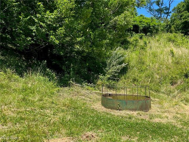 909 Kings Ridge Rd, St Marys, WV 26170