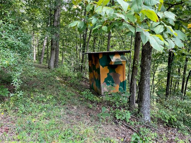 909 Kings Ridge Rd, St Marys, WV 26170