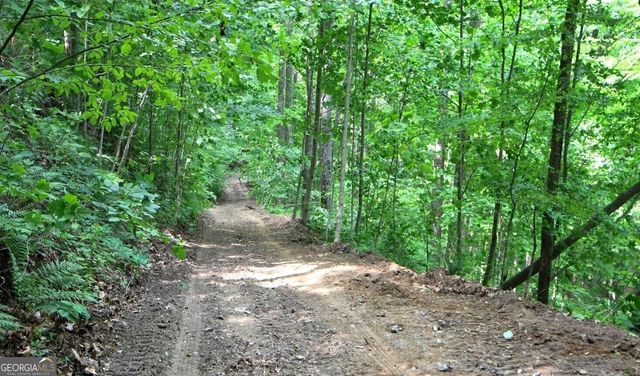0 Fawn Ridge, Rabun Gap, GA 30568