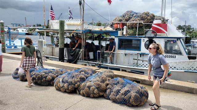 3813 STAYSAIL LANE, Holiday, FL 34691