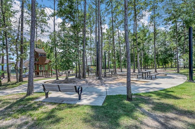 328 Rise Lane, Montgomery, TX 77316