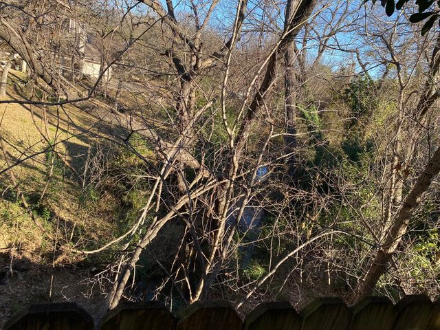 134 Main Place, Euless, TX 76040