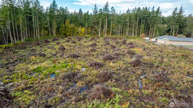 0 NHN Goldie Road, Oak Harbor, WA 98277