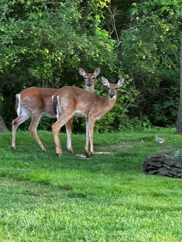 45289 Rudgate Road, Canton, MI 48188