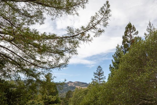45 Bear Paw, Portola Valley, CA 94028