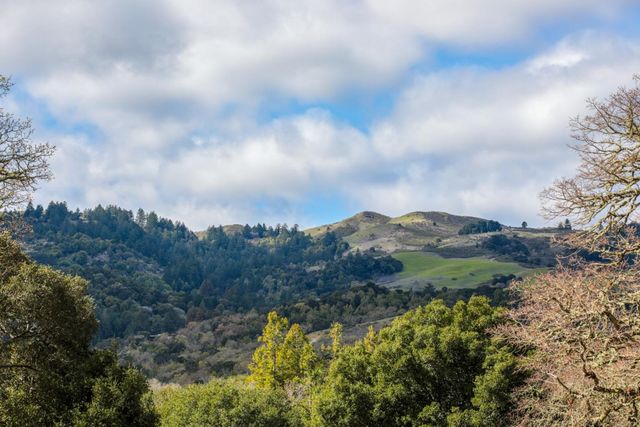 45 Bear Paw, Portola Valley, CA 94028