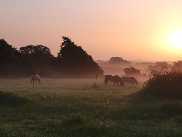 3521 Bryant Road, Schulenburg, TX 78956