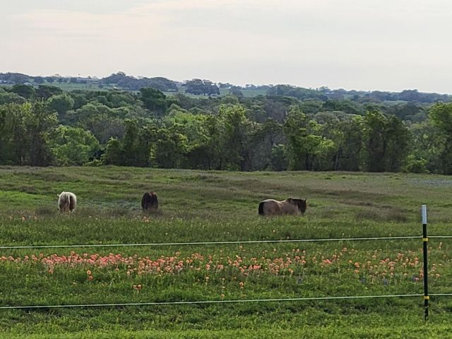 3521 Bryant Road, Schulenburg, TX 78956