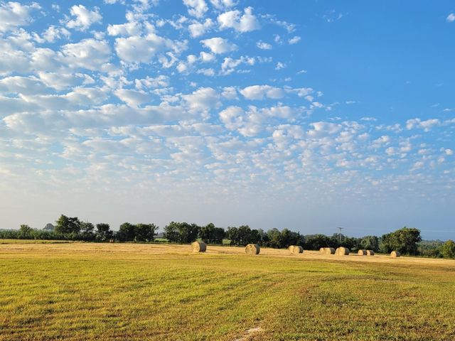 3521 Bryant Road, Schulenburg, TX 78956