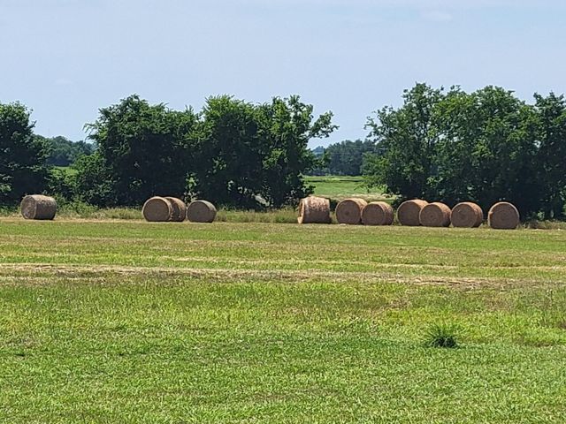 3521 Bryant Road, Schulenburg, TX 78956