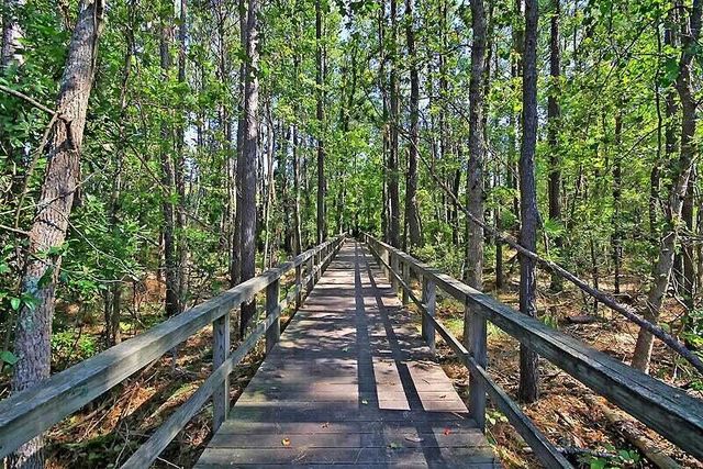 3521 E Higgins Drive, Mount Pleasant, SC 29466