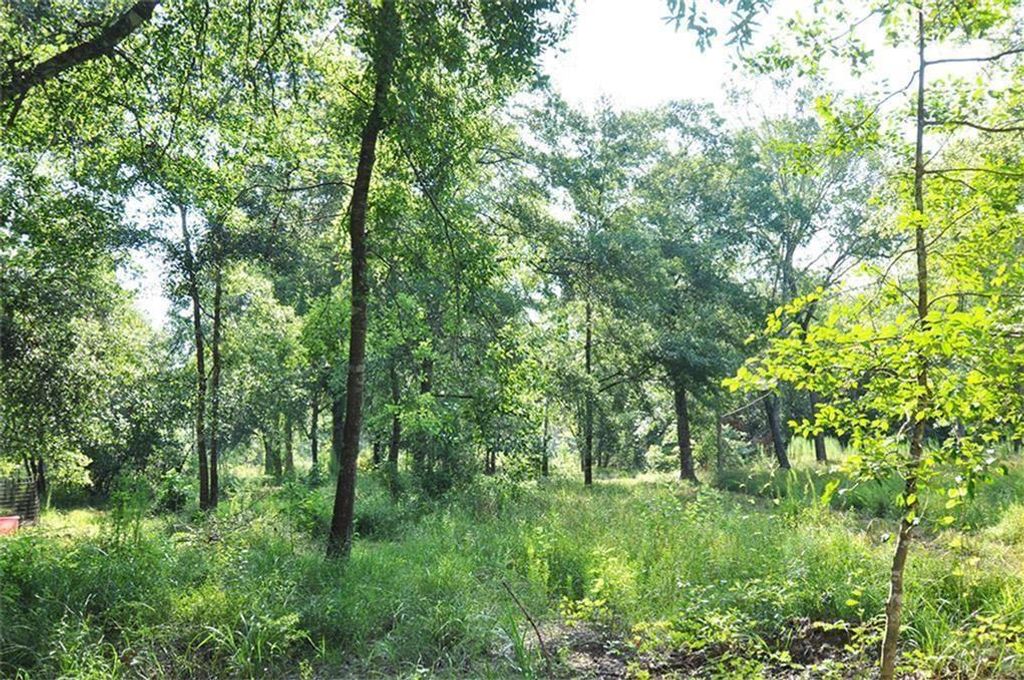 10955 Daw Collins Road, Splendora, TX 77372