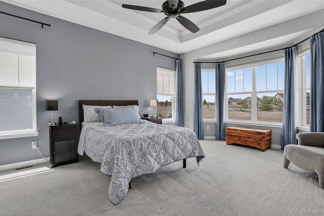 15217 Roslyn Street, Thornton, CO 80602