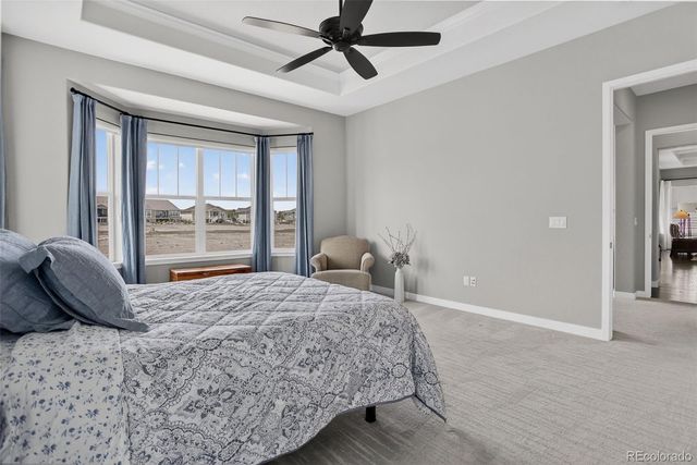 15217 Roslyn Street, Thornton, CO 80602