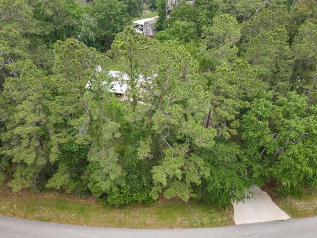 26302 Penguin Street, Magnolia, TX 77355