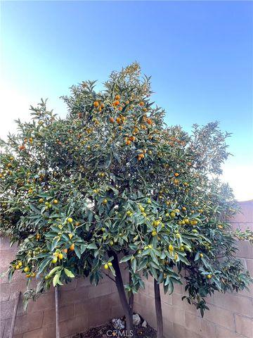 4851 Agnes Ave, Temple City, CA 91780