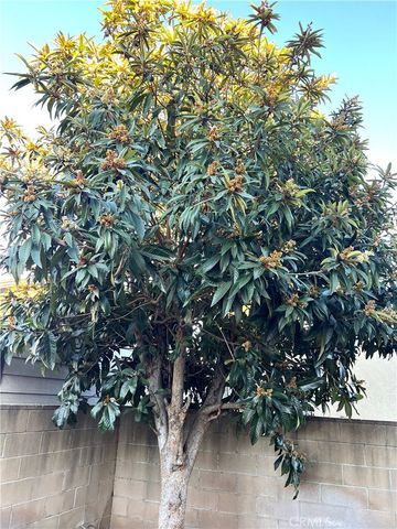 4851 Agnes Ave, Temple City, CA 91780