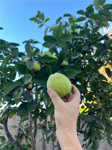 4851 Agnes Ave, Temple City, CA 91780