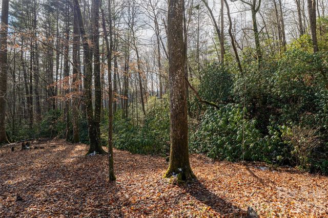 19 Forge Drive, Mills River, NC 28759