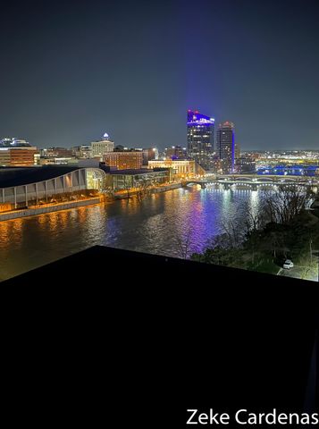 335 Bridge Street Nw 901, City Of Grand Rapids, MI 49504