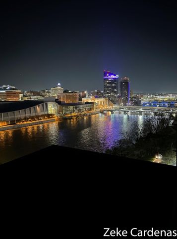 335 Bridge Street Nw 901, City Of Grand Rapids, MI 49504