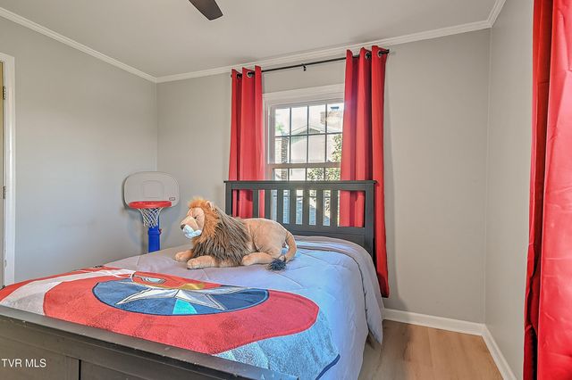 1420 Ruthbrooke Drive, Mount Carmel, TN 37645