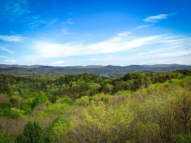 245 Davenport Mountain Road, Blue Ridge, GA 30513