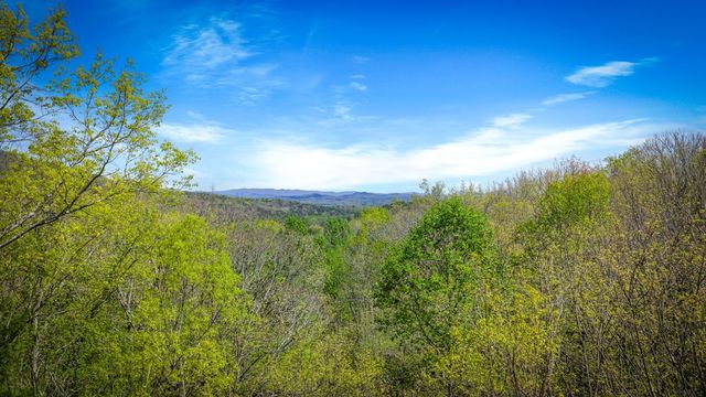 245 Davenport Mountain Road, Blue Ridge, GA 30513