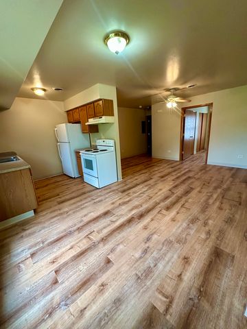 465 N School Street 473, Diamond, IL 60416