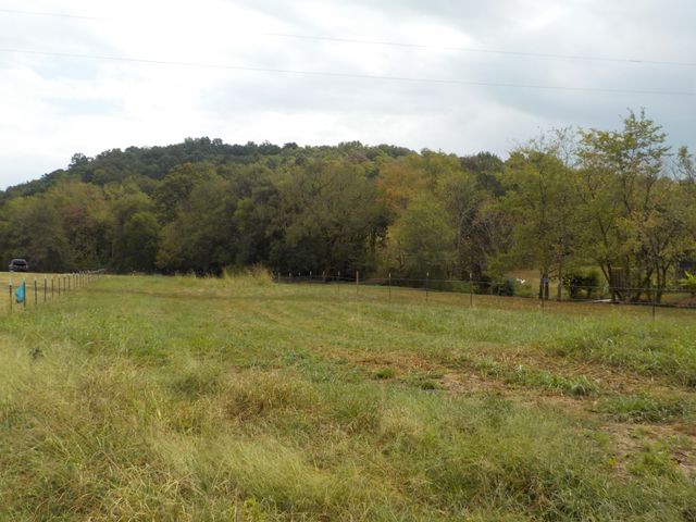 0 Rogues Fork Road, Bethpage, TN 37022