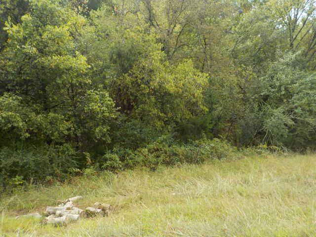 0 Rogues Fork Road, Bethpage, TN 37022