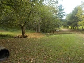 0 Rogues Fork Road, Bethpage, TN 37022