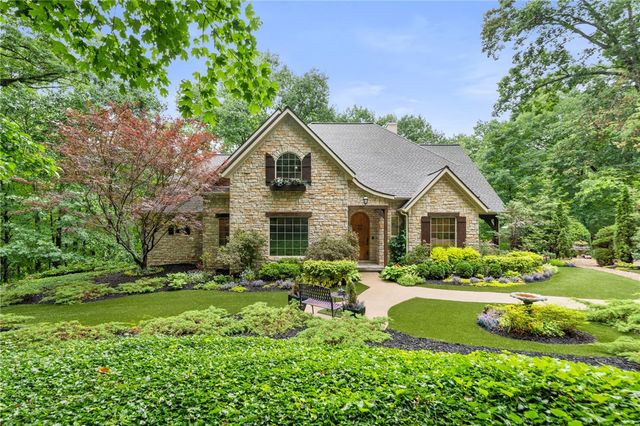 53 Wildcat Lane, Eureka Springs, AR 72631