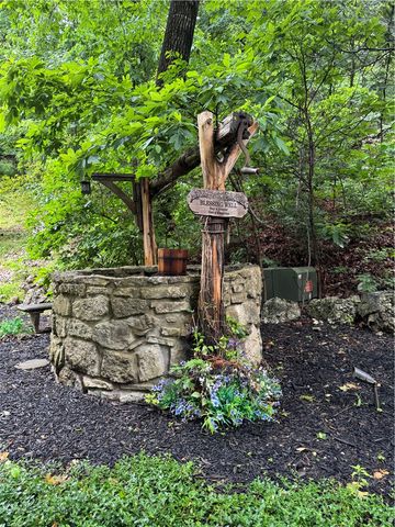 53 Wildcat Lane, Eureka Springs, AR 72631