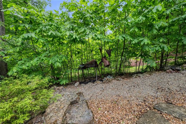 53 Wildcat Lane, Eureka Springs, AR 72631