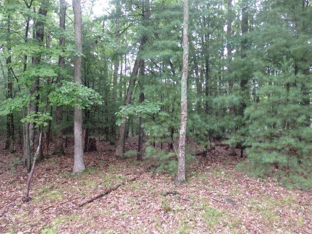 Shingle Mill Way, Manistee, MI 49660