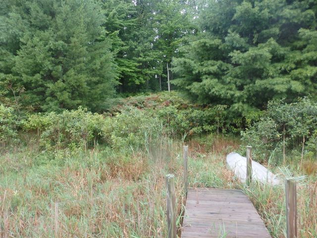 Shingle Mill Way, Manistee, MI 49660