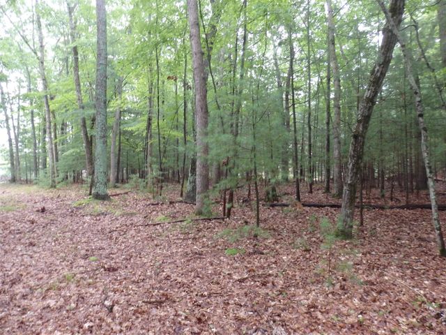 Shingle Mill Way, Manistee, MI 49660