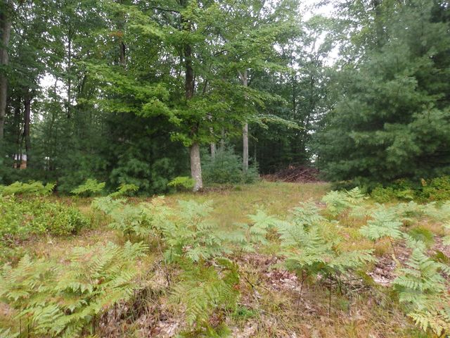 Shingle Mill Way, Manistee, MI 49660