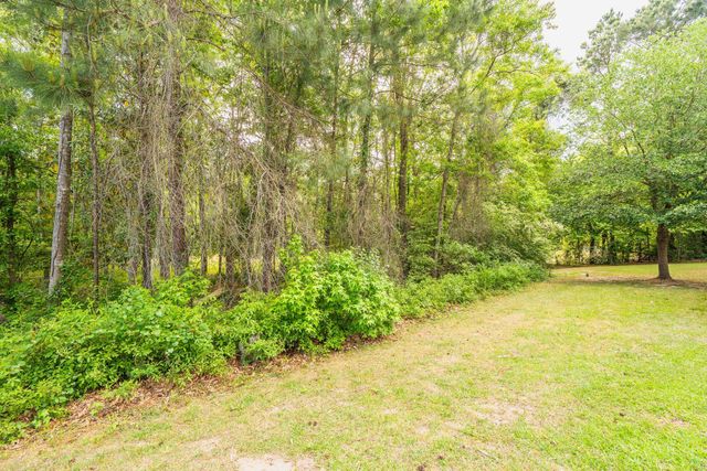 1517 Seabago Drive, Charleston, SC 29414