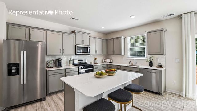15008 Murrelet Way, Charlotte, NC 28215