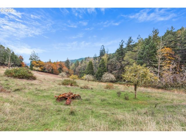 2100 BOYER Rd, Riddle, OR 97469