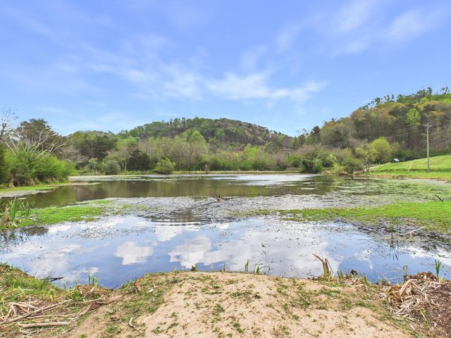 1483 Reagan Valley Road, Tellico Plains, TN 37385
