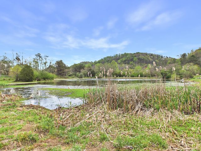 1483 Reagan Valley Road, Tellico Plains, TN 37385